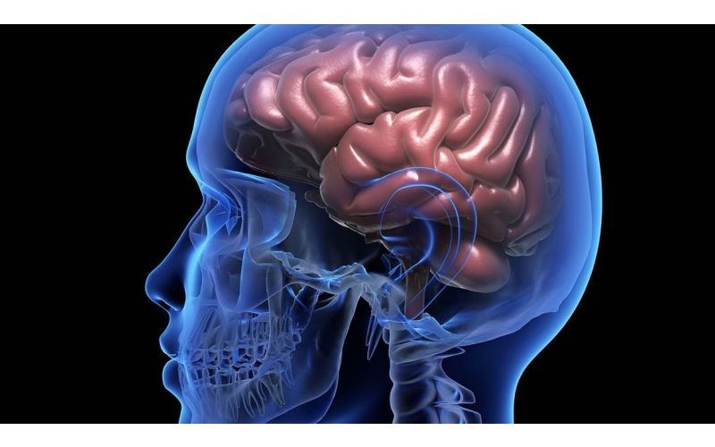 Θετικά νέα για τους ασθενείς με Υποτροπιάζουσα-Διαλείπουσα Πολλαπλή Σκλήρυνση