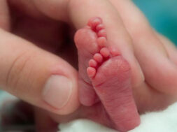 31F7CB11-92DE-42E9-86BC-56D8ADEF7931