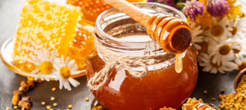 B28E1BBE-5786-422B-B0F9-2DFC0D5F94DA