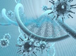 DC9077E1-F56A-438B-B54D-B3AB1F26DFE3