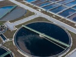 image – 2021-11-03T070239.970