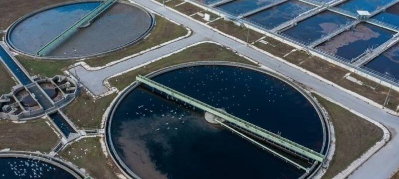 image – 2021-11-03T070239.970