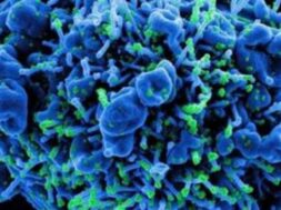 image – 2021-11-04T062550.508