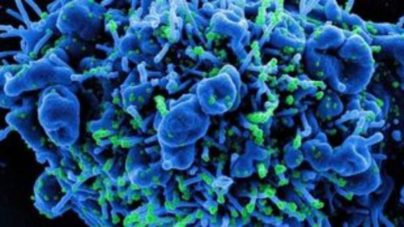 Ο κίνδυνος μετάστασης του καρκίνου του μαστού είναι 6% ως 22% και μεγαλύτερος για τις γυναίκες κάτω των 35 ετών