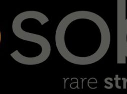 _SOBI_lotgo_payoff_RGB (002)