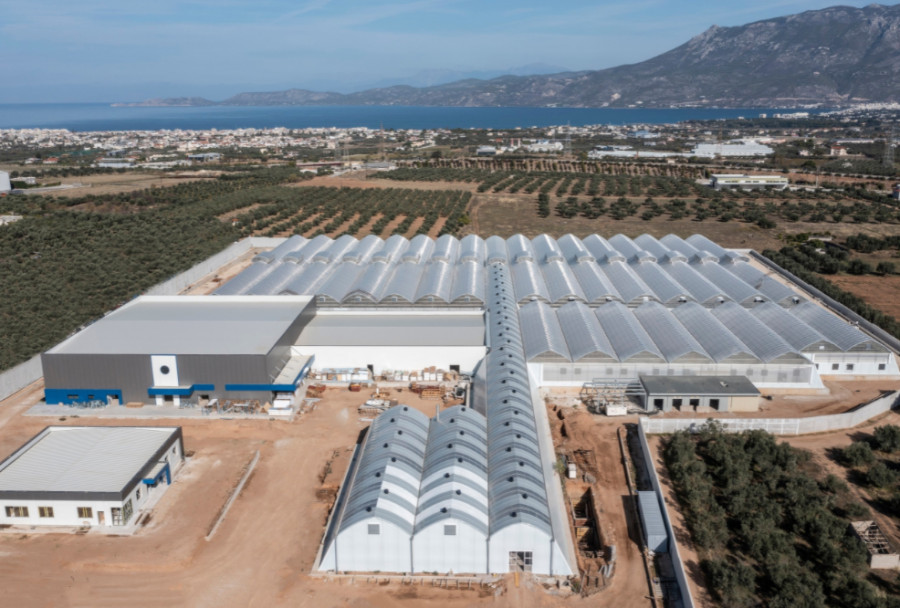 Tikun Europe: Εκπαίδευση επαγγελματιών υγείας στην Ελλάδα