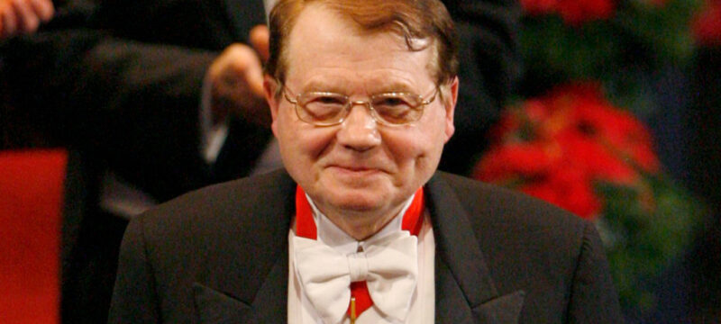 2B8213EA-9756-4207-A1AE-77BF8252CFBD