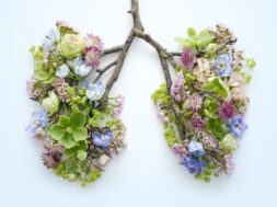 spring-flowers-representing-human-lungs-royalty-free-image-1639076231