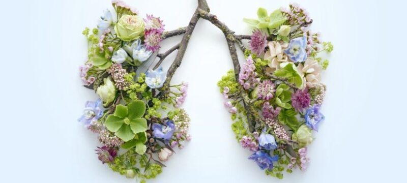 spring-flowers-representing-human-lungs-royalty-free-image-1639076231