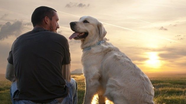 man-dogs-best-friend-e1422802552126