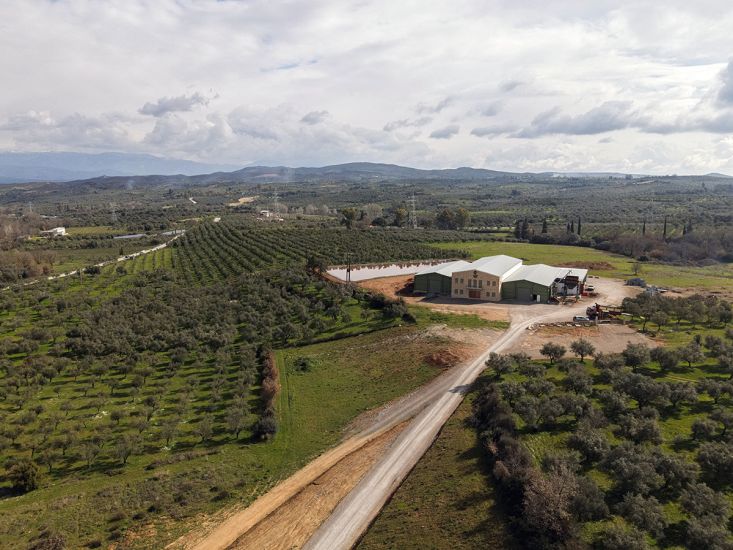 Διεθνής επιβράβευση για το ελαιόλαδο της ΜΟΛΩΝ ΛΑΒΕ ΑΕ