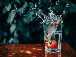 pexels-lisa-fotios-2311854