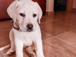 813853e3-5bac-4d6d-a776-e6f6198e07b5 (1)