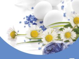 Social_Family Rapid test-Easter_290322 (002)