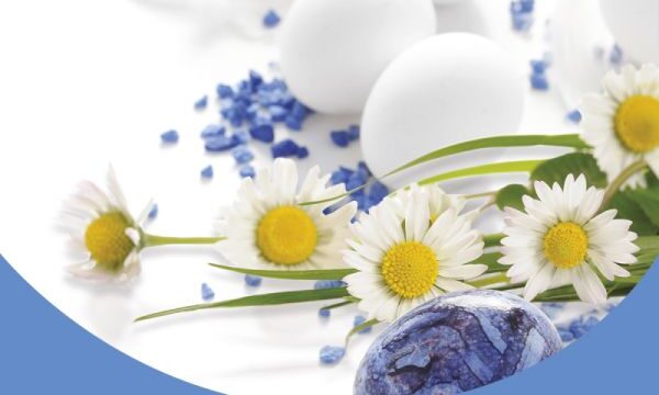 Social_Family Rapid test-Easter_290322 (002)