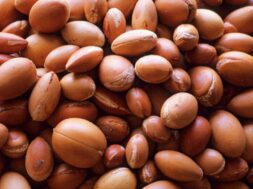 argan-oil-500x500j
