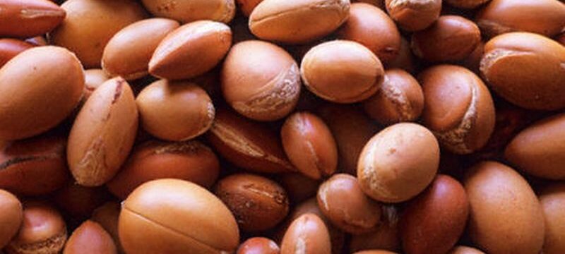 argan-oil-500x500j