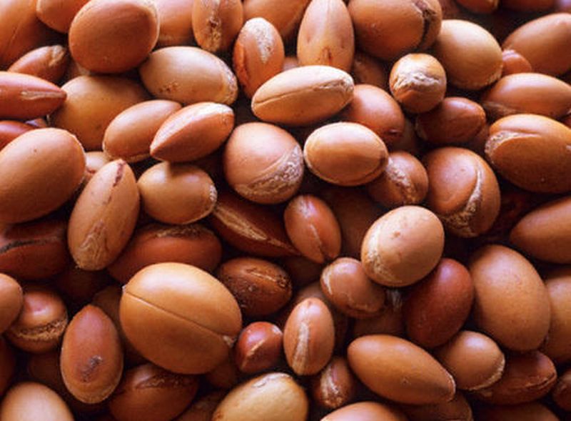 Τα οφέλη του ελαίου “argan”