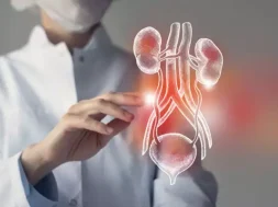 iStock-1339092350-666×399