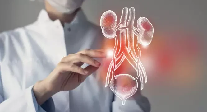 iStock-1339092350-666×399