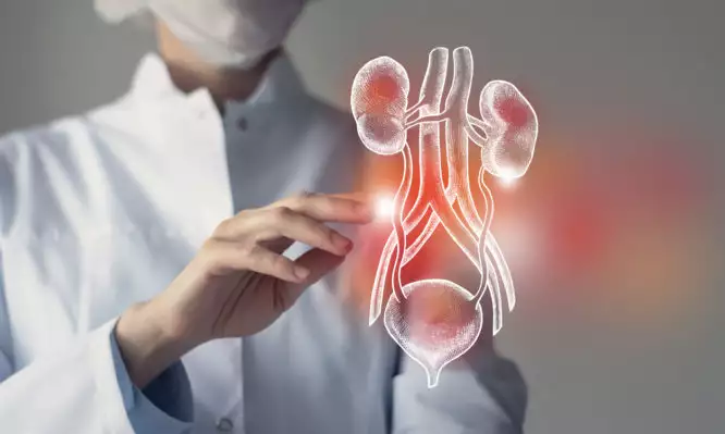 Έγκριση ανοσοθεραπείας για ασθενείς με ουροθηλιακό καρκίνο