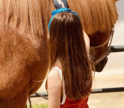 IMG-8ecdcc75a01b3e4a4e2c033d7666732f-V