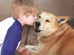 kidsanddogs.jpg.optimal