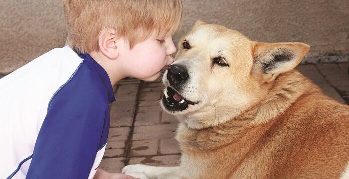 kidsanddogs.jpg.optimal