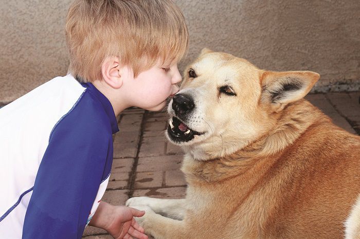 Κατοικίδια και έξαρση της ηπατίτιδας στα παιδιά