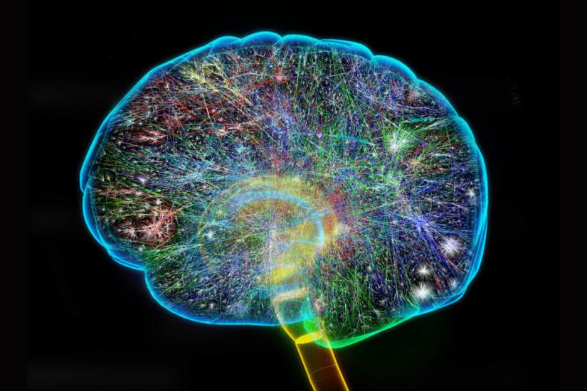 Ο εγκέφαλός μας φθάνει και στους 40 βαθμούς κελσίου