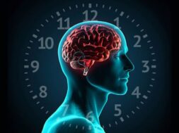 apostolos-chronopoulos-kirkadios-rythmos-metavolismos