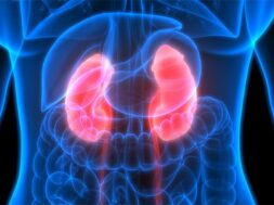 fhp-kidney-cancer-study