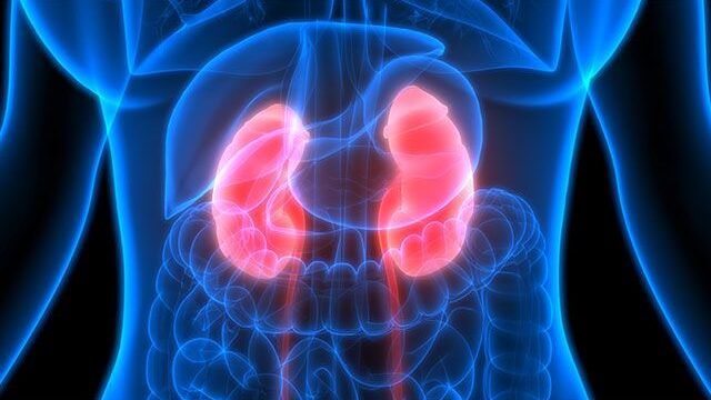 fhp-kidney-cancer-study