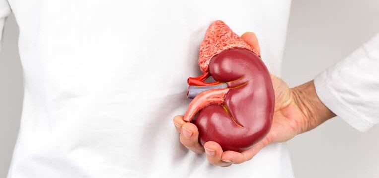 Kidney Cancer: Causes and Symptoms