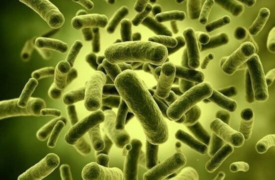 oi-pathogonoi-mikroorganismoi-kai-o-anthropos