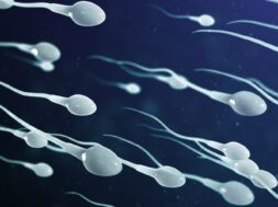 sperms