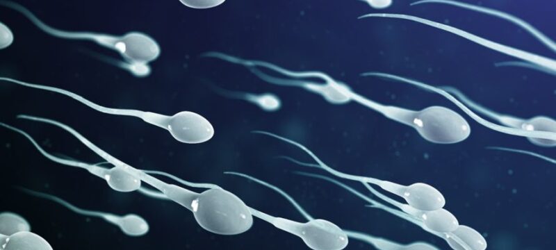 sperms