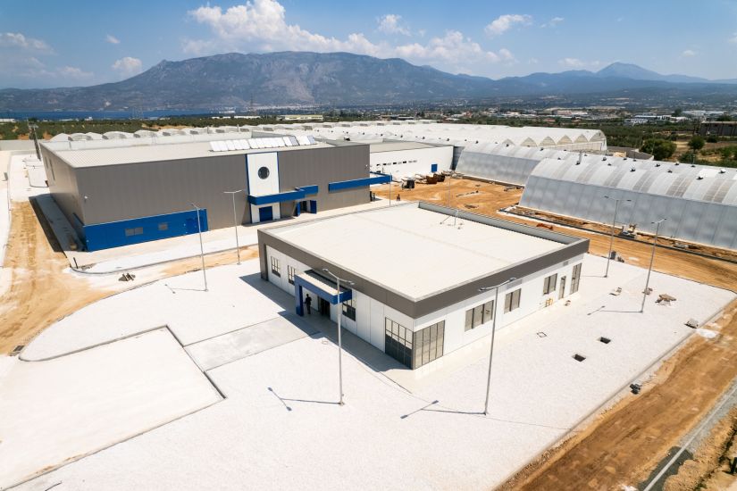 Tikun Europe: Άδεια Λειτουργίας στη μεγαλύτερη Φαρμακοβιομηχανία της Ευρώπης στον κλάδο της Φαρμακευτικής Κάνναβης