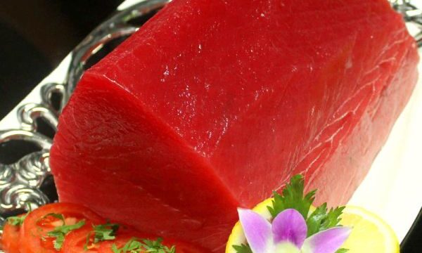 κιτρινοπτερος-τονος