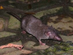 956x648_98951900578-1