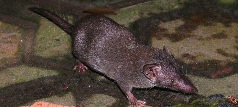 956x648_98951900578-1