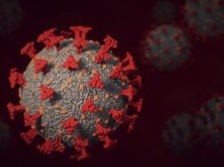 ab46dcce783d2d92f0732c21c23269f9_XL