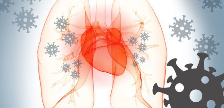 heartLungsCovid-1128597855-770×533-1-745×490