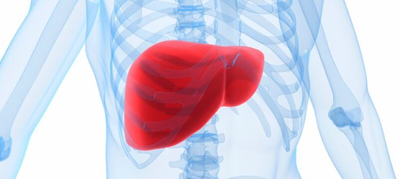 Image-Content-liver