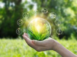 viosimi-anaptixi-shutterstock