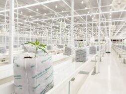 ΔΤ_TIKUN_ΦΩΤΟΓΡΑΦΙΑ 4