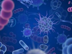 113185-microbes1280new