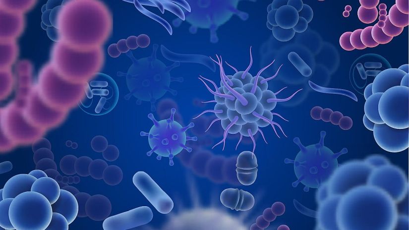 Πώς μπορούμε να αποφύγουμε τα μικρόβια που μας αρρωσταίνουν;