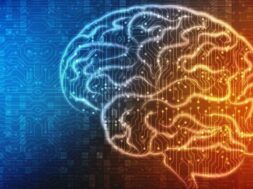 1643647494767-288647154-egkefalos