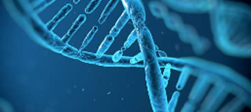 8b378df2385b41ec2da904afa06a5506_XL